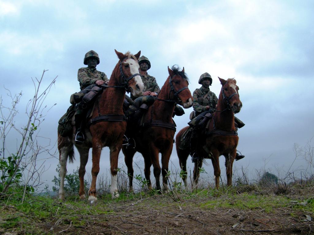 Médicos veterinarios del Ejército se capacitaron en aspectos de ...